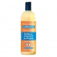 ACONDICIONADOR CAPILATIS EVITA PIOJO 500 ml ( u x b 12)