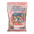 CARAMELO LHERITIER YOG.MAST. 670 gr ( u x b 10)