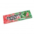 CHICLE BELDENT MENTA-POM. 20 un ( u x b 20)