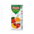 JUGO BAGGIO MIX FRUTAL 200 cc ( u x b 18)