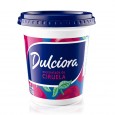 MERMELADA DULCIORA CIRUELA 500 gr ( u x b 12)