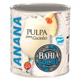 PULPA DE FRUTA BAHIA ANANA 900 gr ( u x b 12)