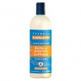 SHAMPOO CAPILATIS EVITA PIOJO 500 ml ( u x b 12)