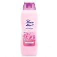SHAMPOO PATRICIA ALLEN CERAMIDAS 930 cc ( u x b 12)
