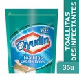TOALLITAS HUMEDA AYUDIN FRES.D.P 35 un ( u x b 12)